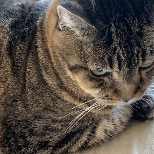 Meet your Posher, Eve